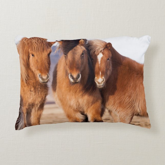 Icelandic Horse during winter Accent Pillow (Front)