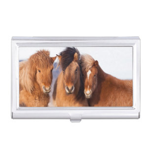 Icelandic Horse during winter Business Card Holder