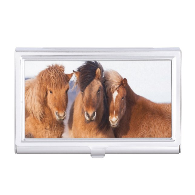 Icelandic Horse during winter Business Card Holder (Front)