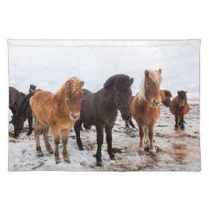 Icelandic Horse During Winter Iceland Cloth Placemat
