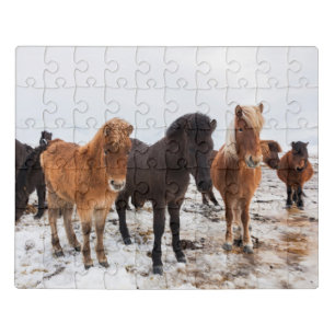 Icelandic Horse During Winter Iceland Jigsaw Puzzle