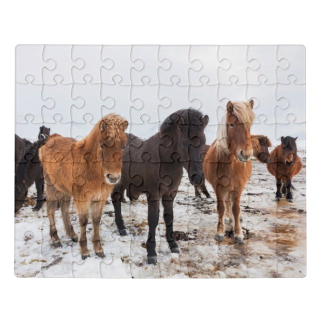 Icelandic Horse During Winter Iceland Jigsaw Puzzle (Puzzle Horizontal)