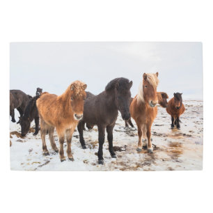 Icelandic Horse During Winter Iceland Metal Print