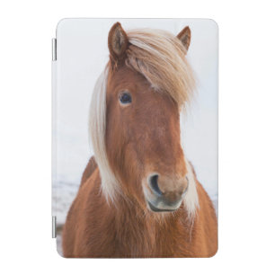 Icelandic Horse during winter iPad Mini Cover