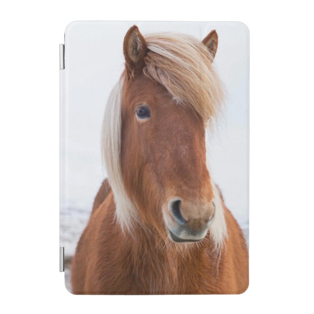 Icelandic Horse during winter iPad Mini Cover (Front)