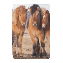 Icelandic Horse during winter iPad Mini Cover