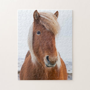 Icelandic Horse during winter Jigsaw Puzzle