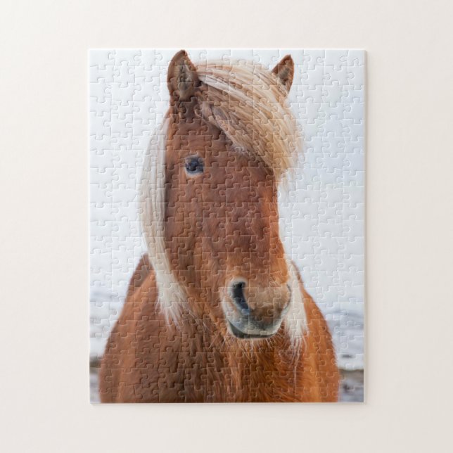 Icelandic Horse during winter Jigsaw Puzzle (Vertical)