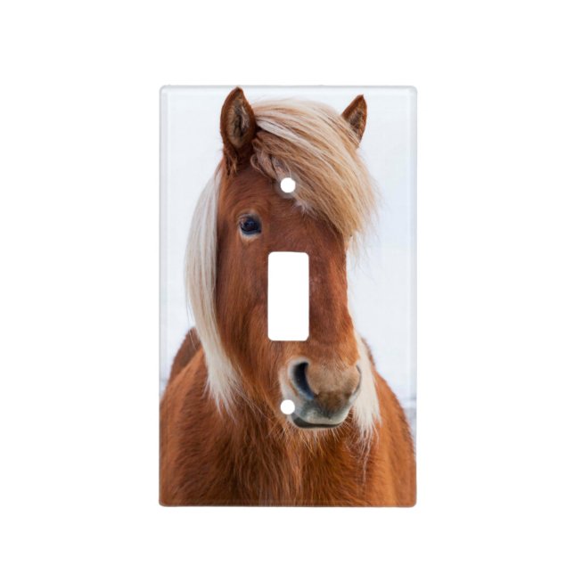 Icelandic Horse during winter Light Switch Cover (Front)