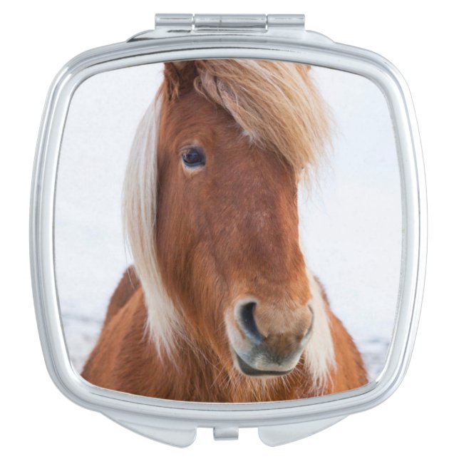 Icelandic Horse during winter Mirror For Makeup (Front)