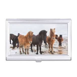Icelandic Horse during winter on Iceland Business Card Holder