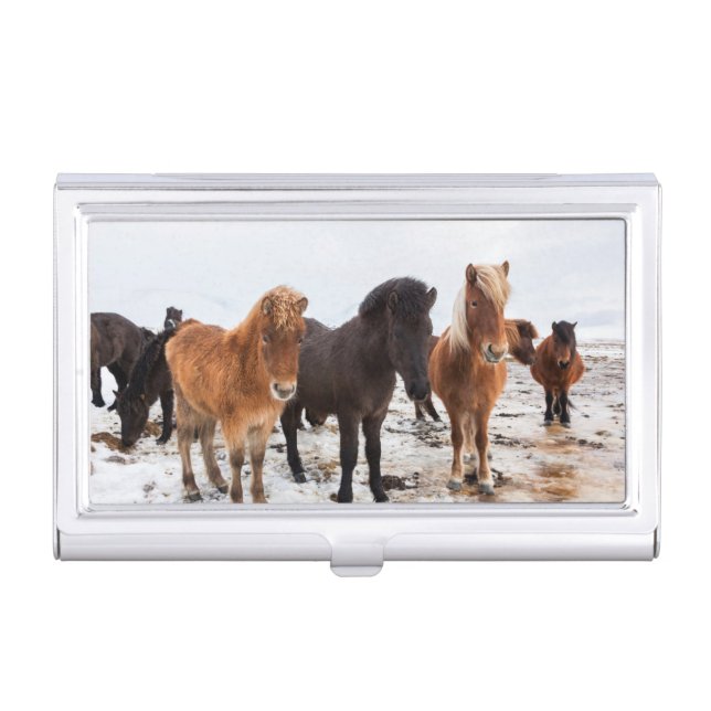 Icelandic Horse during winter on Iceland Business Card Holder (Front)