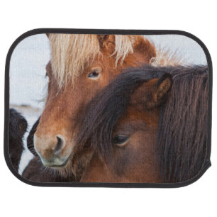 Icelandic Horse during winter on Iceland Car Mat