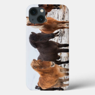 Icelandic Horse during winter on Iceland iPhone 13 Case
