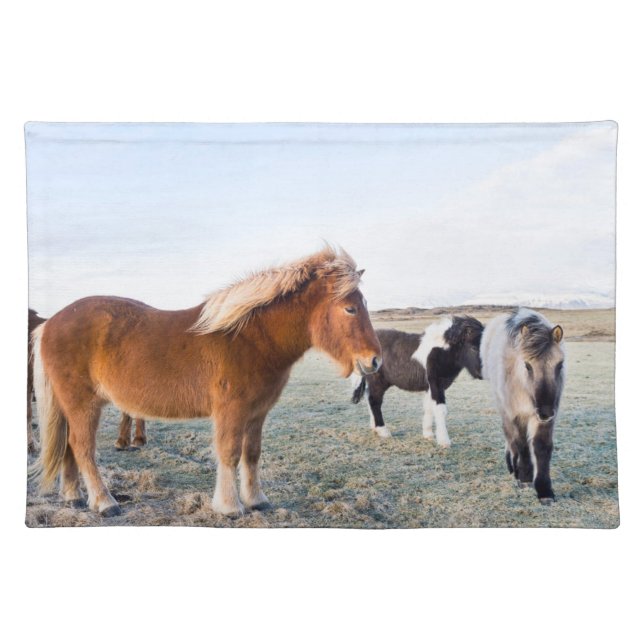 Icelandic Horse During Winter on Iceland Cloth Placemat (Front)