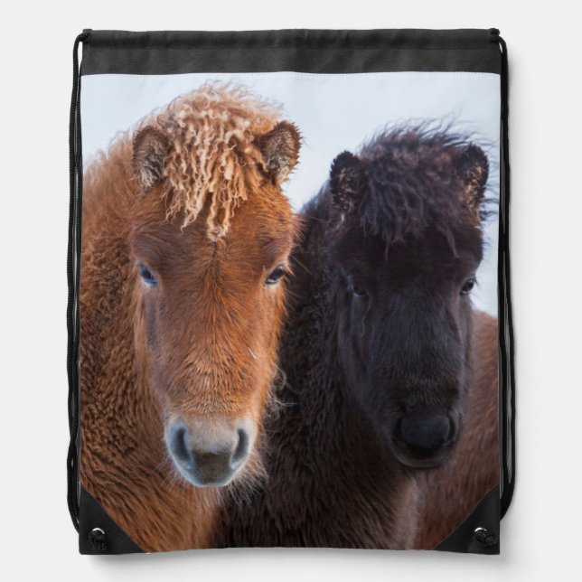 Icelandic Horse during winter on Iceland Drawstring Bag (Front)