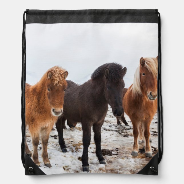 Icelandic Horse during winter on Iceland Drawstring Bag (Front)