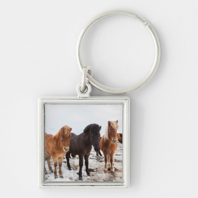Icelandic Horse during winter on Iceland Keychain (Front)