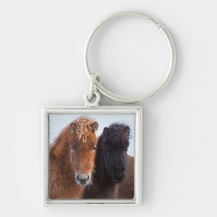Icelandic Horse during winter on Iceland Keychain