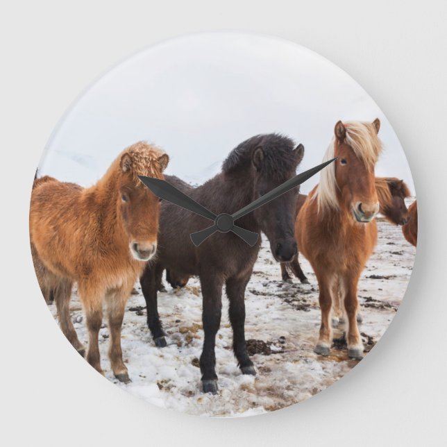 Icelandic Horse during winter on Iceland Large Clock (Front)
