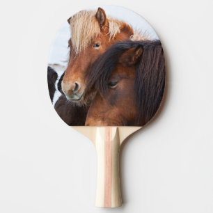 Icelandic Horse during winter on Iceland Ping Pong Paddle