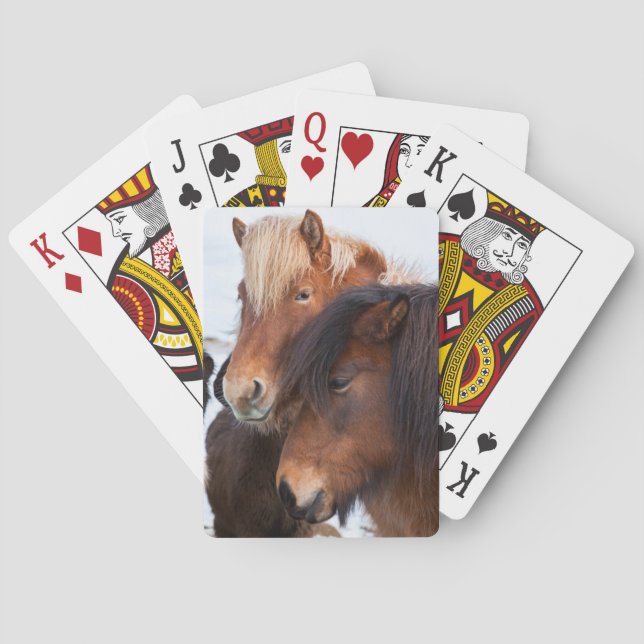 Icelandic Horse during winter on Iceland Poker Cards (Back)