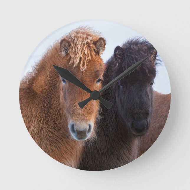 Icelandic Horse during winter on Iceland Round Clock (Front)