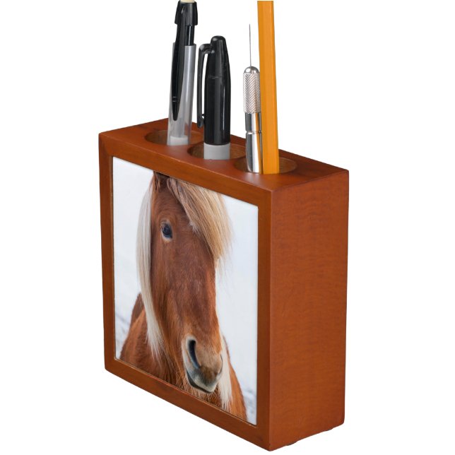 Icelandic Horse during winter Pencil Holder (In Situ)