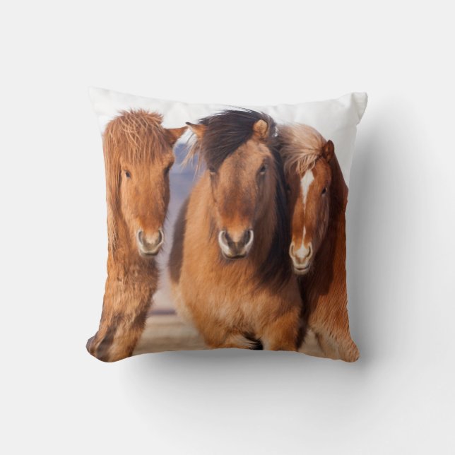 Icelandic Horse during winter Throw Pillow (Front)