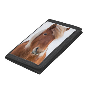 Icelandic Horse during winter Trifold Wallet