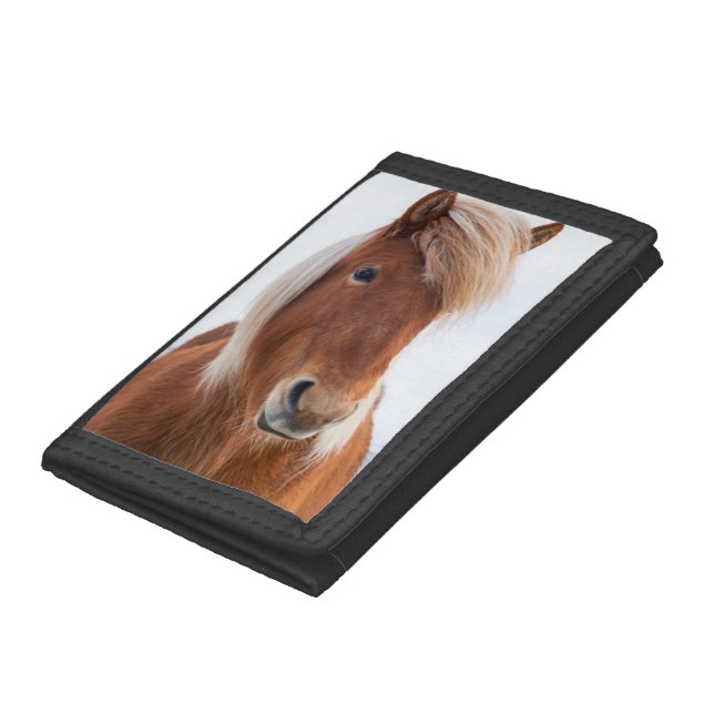 Icelandic Horse during winter Trifold Wallet (Bottom)