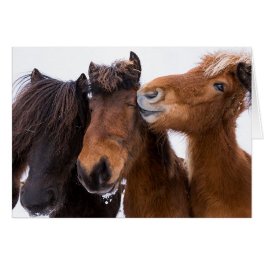 Icelandic Horse friends, Iceland Cards (Front Horizontal)