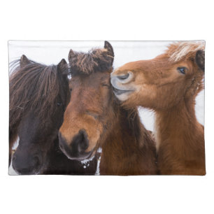 Icelandic Horse Friends, Iceland Cloth Placemat