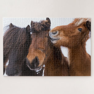 Icelandic Horse Friends, Iceland Jigsaw Puzzle