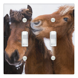 Icelandic Horse friends, Iceland Light Switch Cover