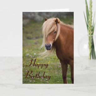 Icelandic Horse Happy Birthday Greeting Card