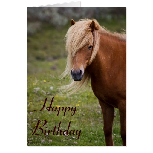 Icelandic Horse Happy Birthday Greeting Card | Zazzle