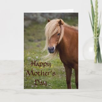 Icelandic Horse Happy Mother's Day Card