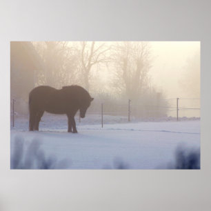 Icelandic Horse in a Frosty Mist Poster