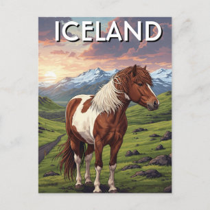 Icelandic Horse in Iceland Travel Postcard