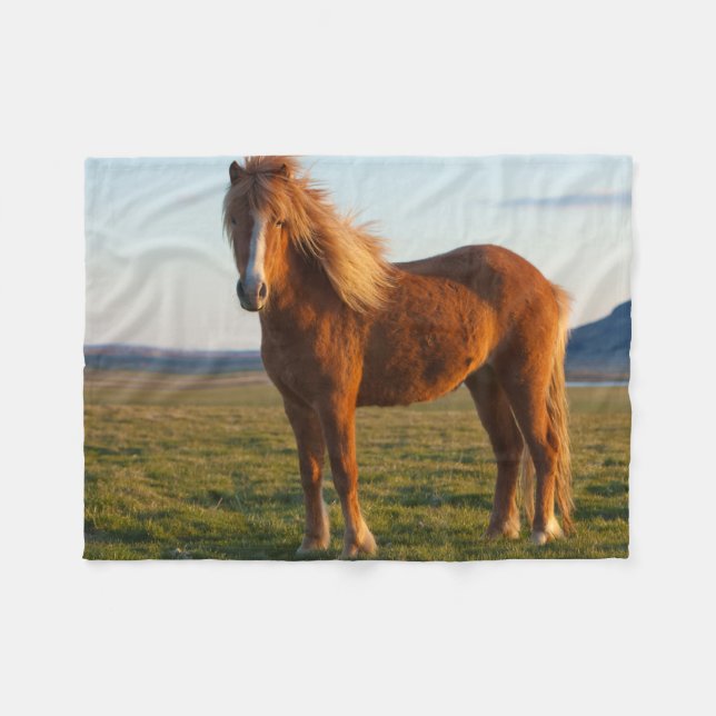 Icelandic Horse in Sunset Light Fleece Blanket (Front (Horizontal))