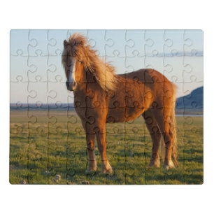 Icelandic Horse in Sunset Light Jigsaw Puzzle