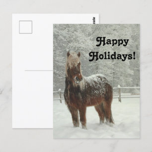 Icelandic Horse in Winter, Happy Holidays Photo Postcard