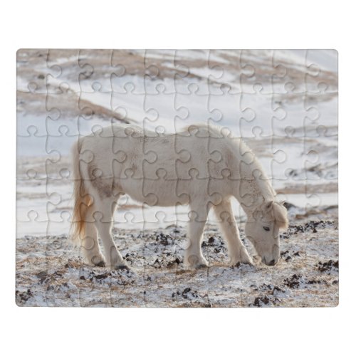 Icelandic Horse Jigsaw Puzzle