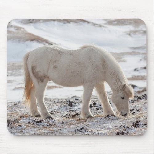 Icelandic Horse Mouse Pad