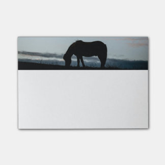 Icelandic Horse Notes