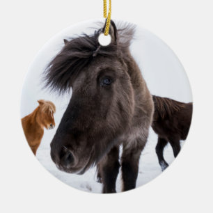 Icelandic Horse portrait, Iceland Ceramic Ornament