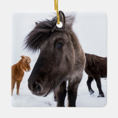 Icelandic Horse portrait Iceland Ceramic Ornament