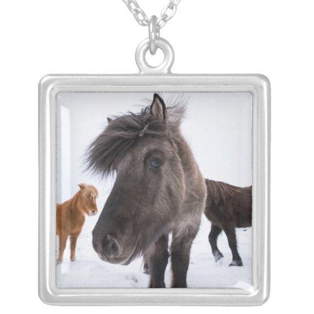 Icelandic Horse portrait, Iceland Silver Plated Necklace (Front)