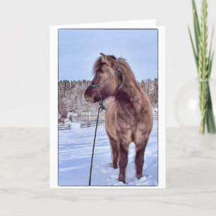 Icelandic Horse Power Holiday Card